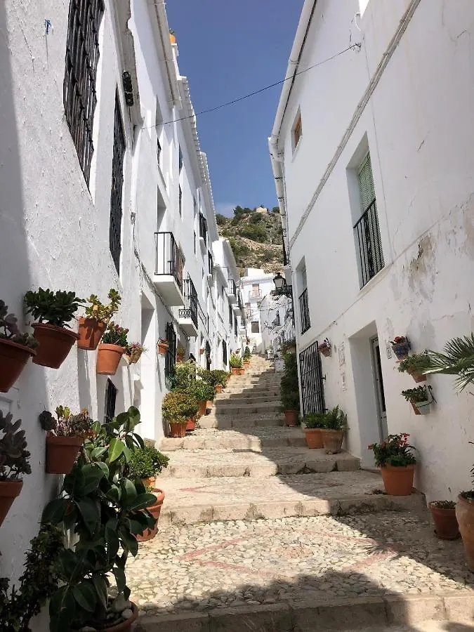 Willa Royal Cabopino Casa 21 Marbella Hiszpania