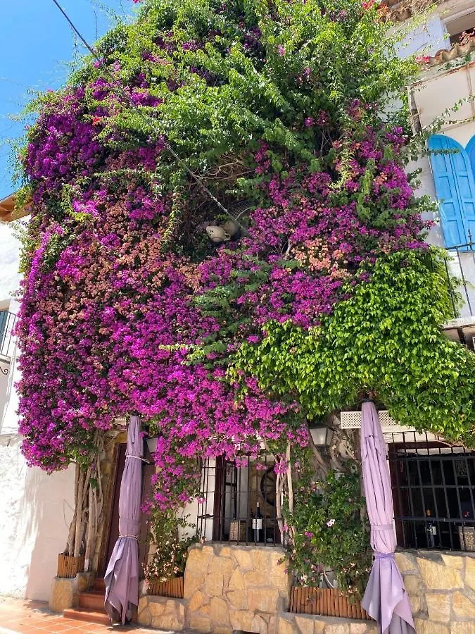 Willa Royal Cabopino Casa 21 Marbella 0*,  Hiszpania